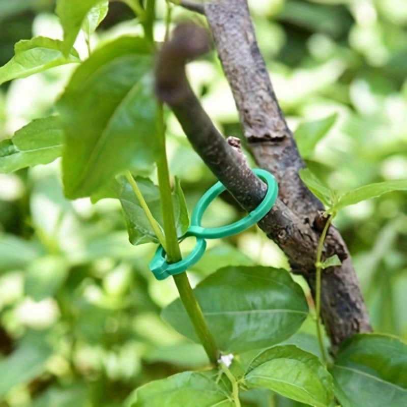 125Pcs Garden Plant Support Ki - đánh giá và giá Plant Parent Kit