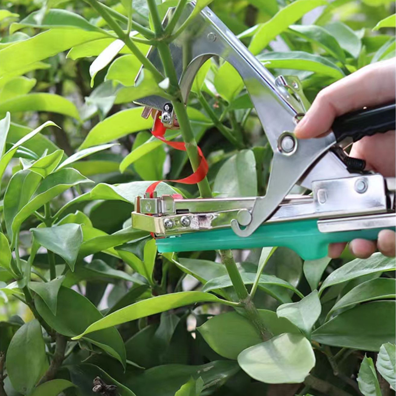 Garden Plants Branch Hand Tyin - đánh giá và giá Plant Parent Kit