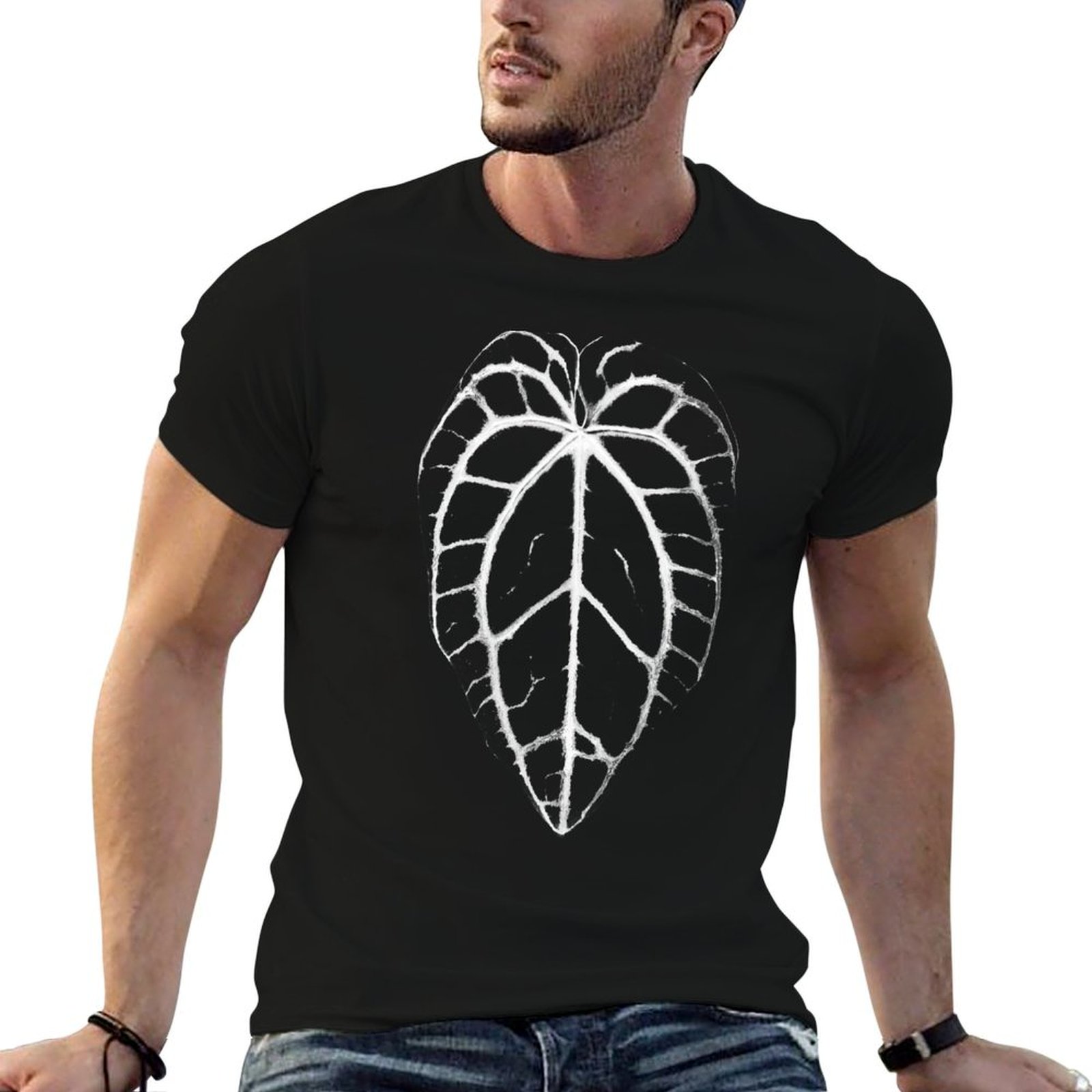 ANTHURIUM CRYSTALLINUM VEINS T - đánh giá và giá Anthurium Crystallinum