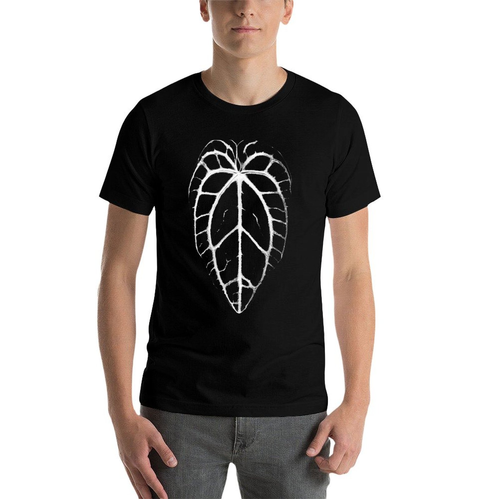 ANTHURIUM CRYSTALLINUM VEINS T - đánh giá và giá Anthurium Crystallinum