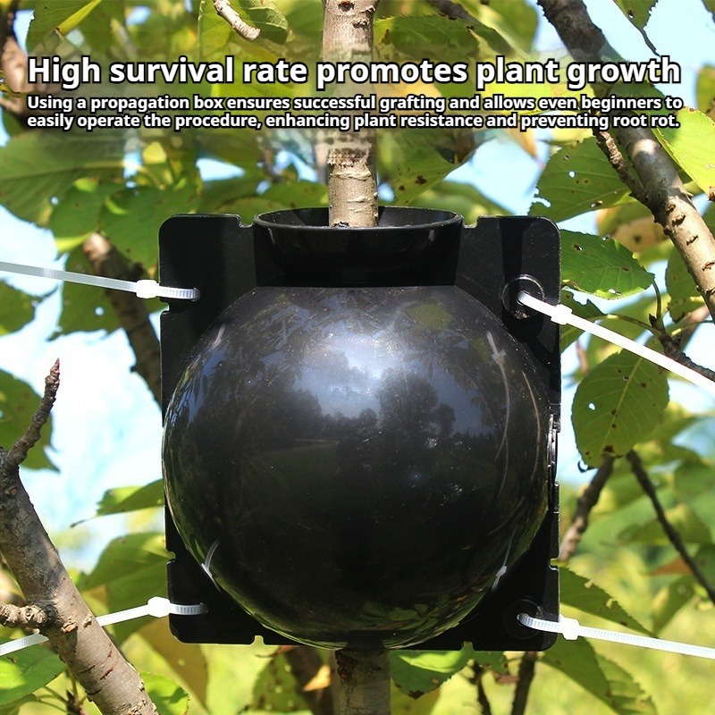 10pcs Plant Propagation Kit: H - đánh giá và giá Plant Parent Kit