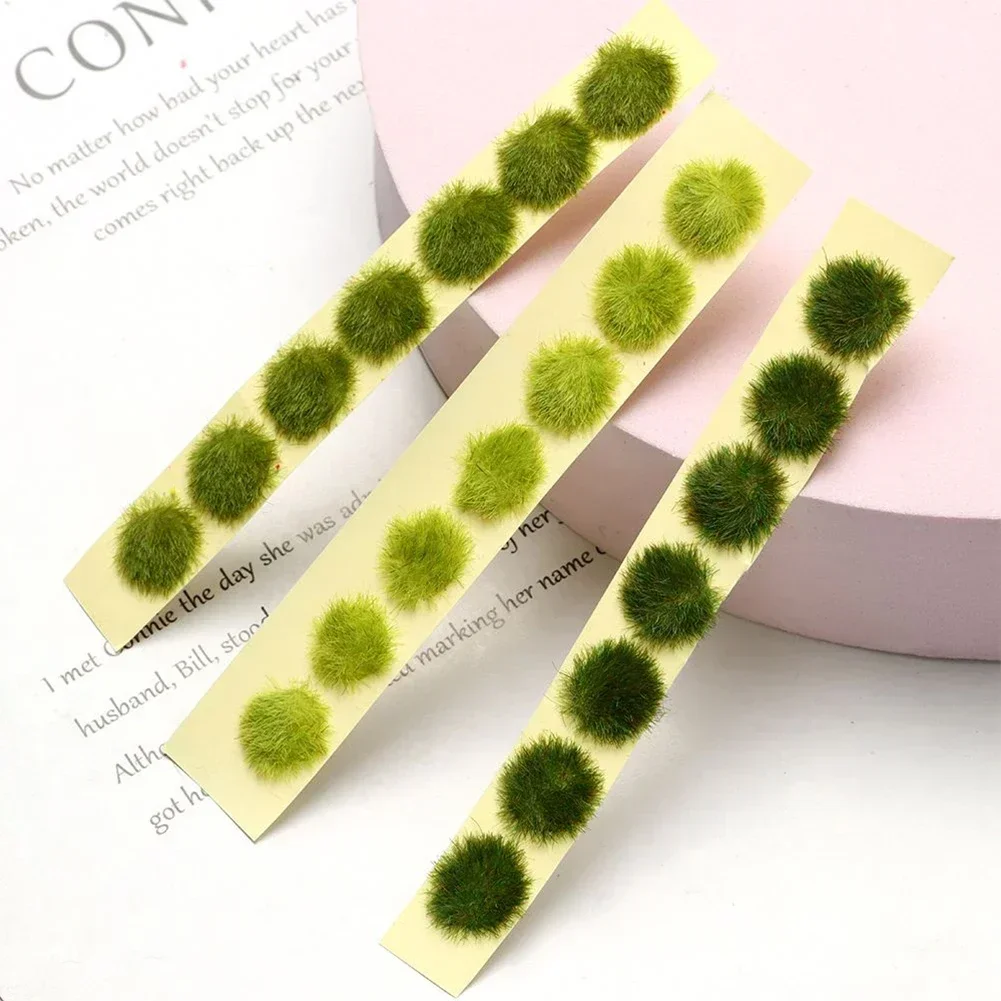 Simulation Miniature Flowers G - đánh giá và giá Plant Parent Kit