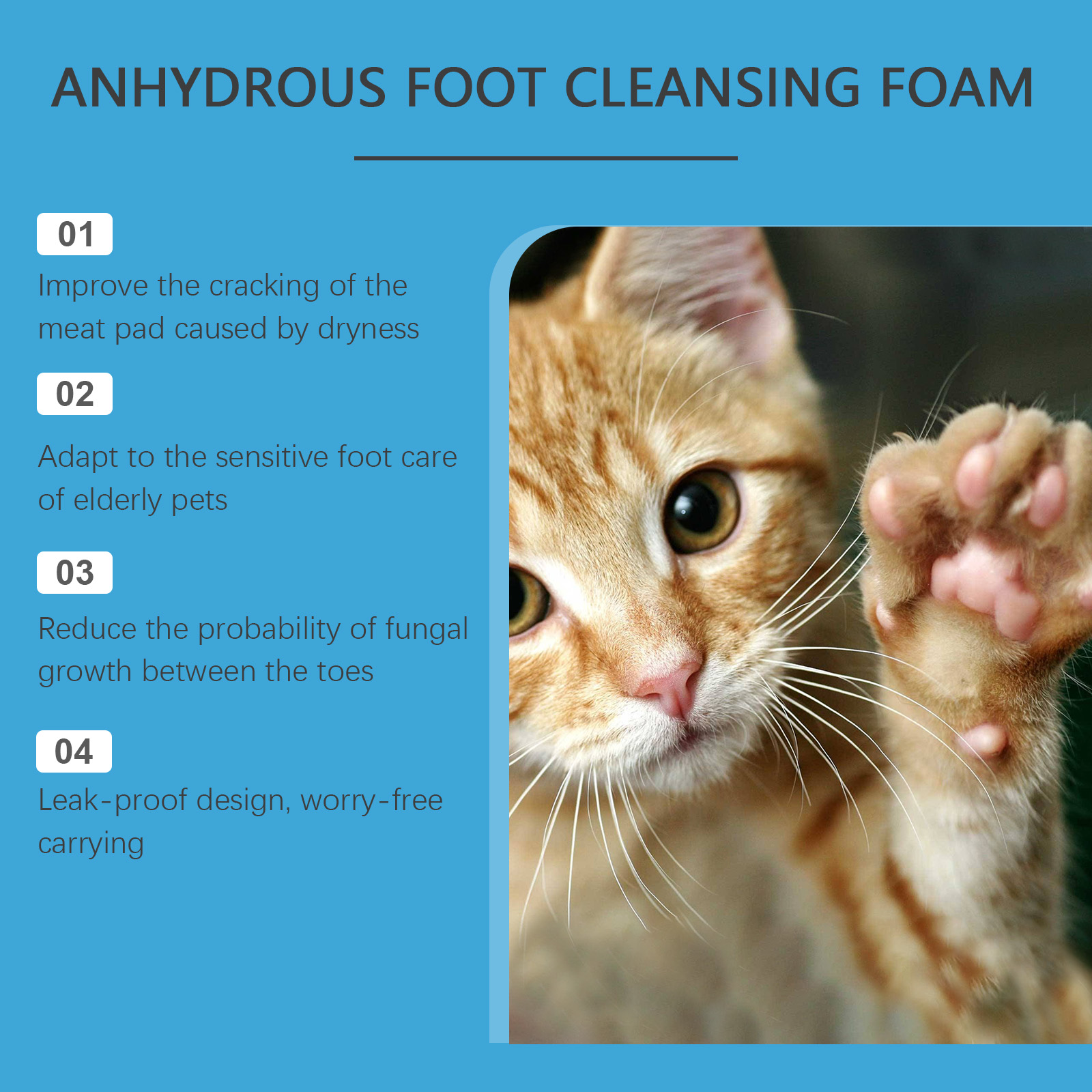 Anhydrous Pet Paw Cleaning Foa - đánh giá và giá Anthurium Crystallinum
